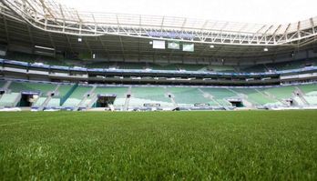 Palmeiras treina no próprio estádio e testa novo gramado (Reprodução/Jogada10)